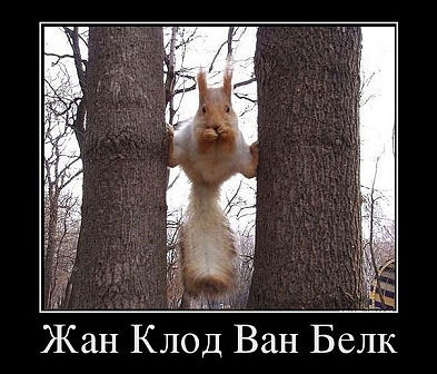 Веселые картинки.
