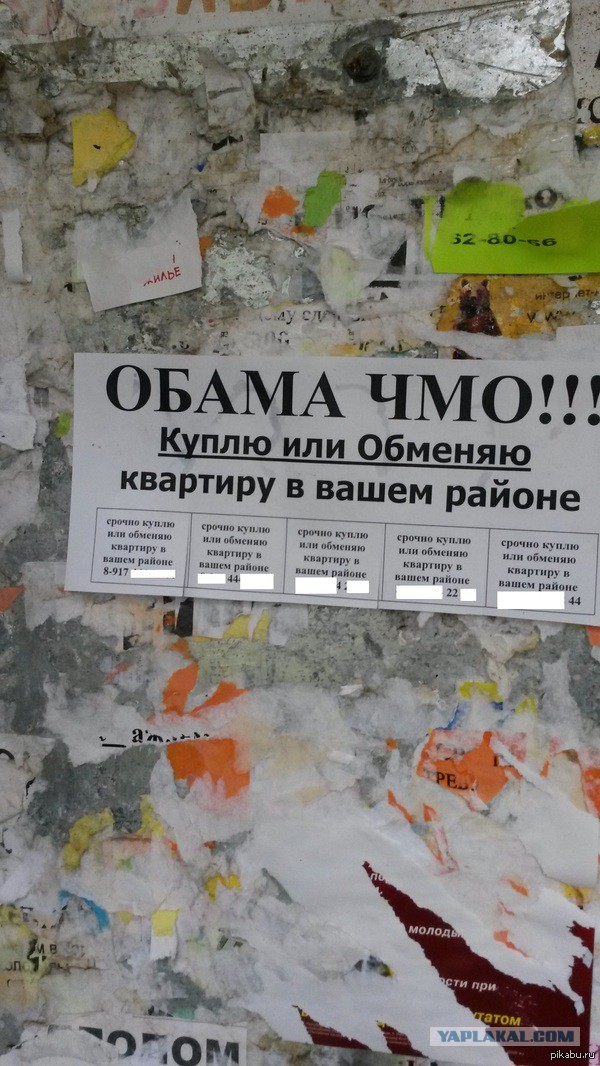 Прикольная пятницо