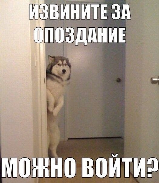 Немного позитива на пятницу