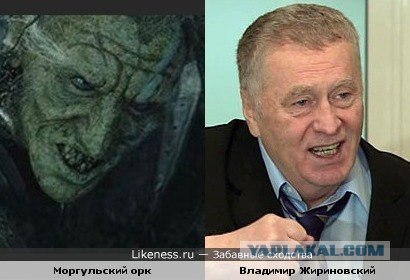 Забавные сходства
