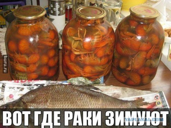 Ключевая ставка вызывает раков