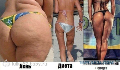 Жир или жить?