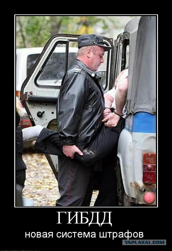 Забавные картинки.