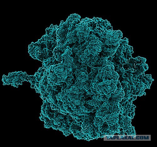 Гифки, которые объясняют мир лучше учебников.