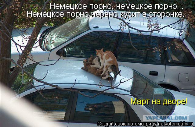 Платья просто блеск