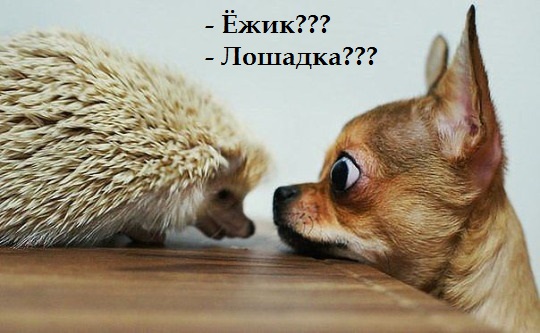 Картинки с буквами