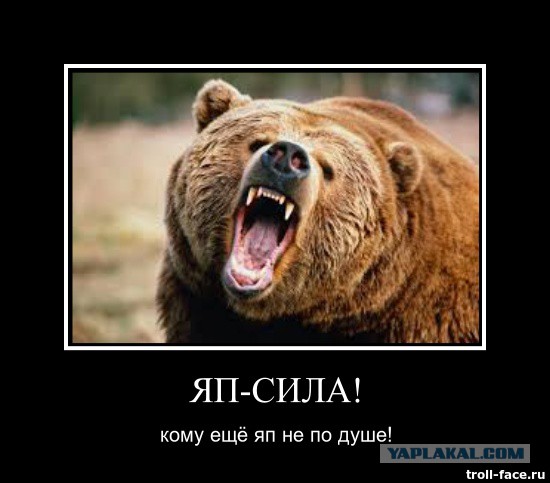 Жизнь как она есть...