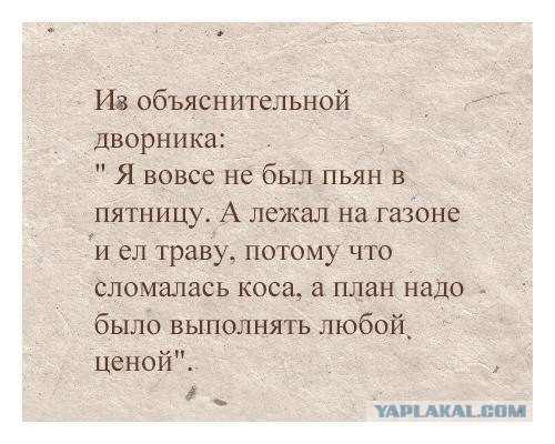 Прикольные объявления и надписи