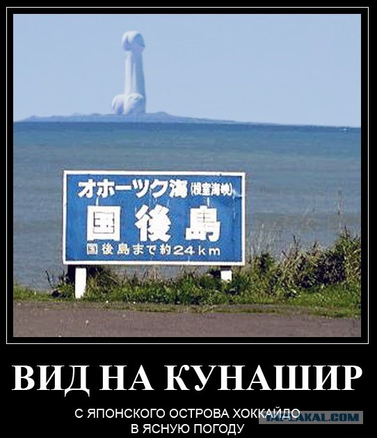Китайские блогеры призывают Россию
