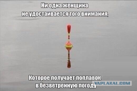 Немного картинок и демотиваторов
