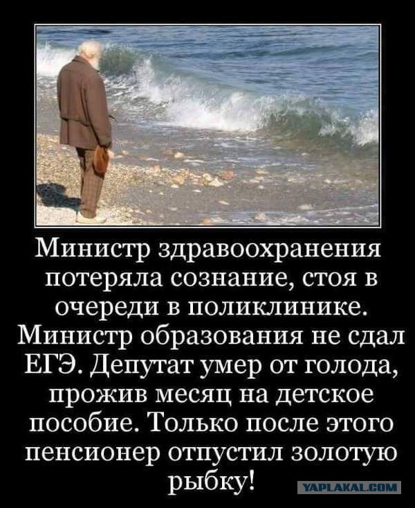 Картинки, надписи