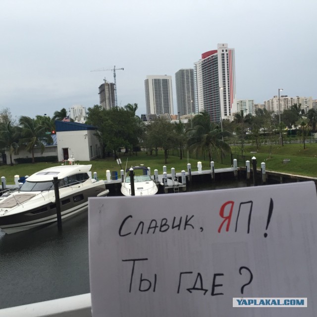 У меня грустные новости для соЯПовца. Слава Новиков тут есть?