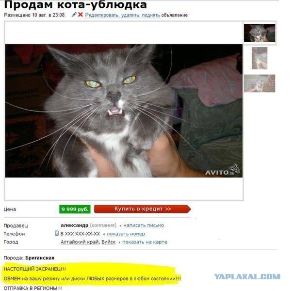 Вот это месть!