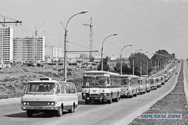 1981 год в СССР