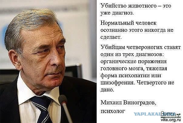 Полицейские задержали взорвавших кота рязанцев
