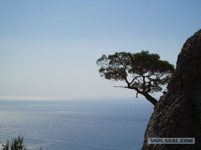 Картинки на пятницу