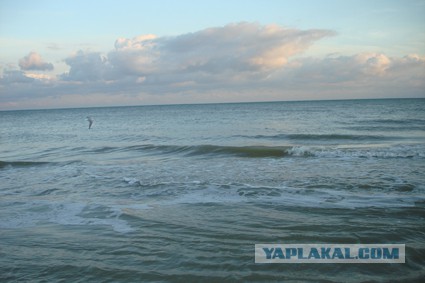 Где отдыхать на Азовском море (в предверии приближающихся отпусков)