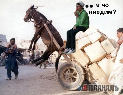 Фотожаба: Районник?