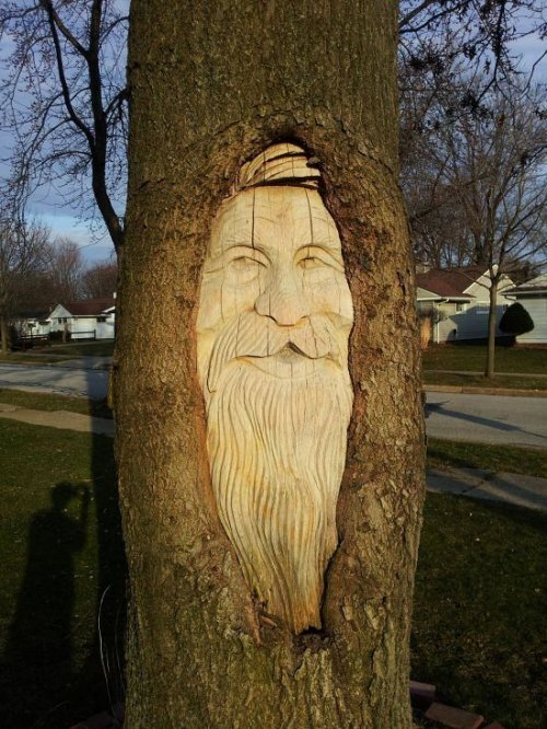 Картинки из сети (07.04.16)