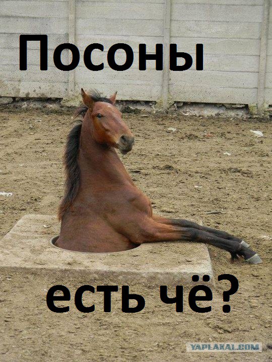 Неприятности случаются.