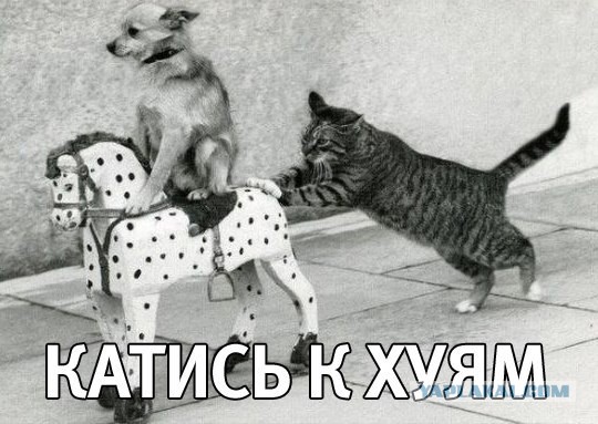 «Обязуюсь никогда не называть себя русским...»