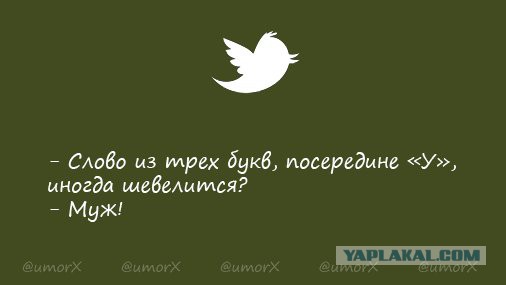 Смешные комментарии из социальных сетей 16.09.2016