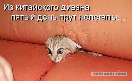 Картинки на пятницу