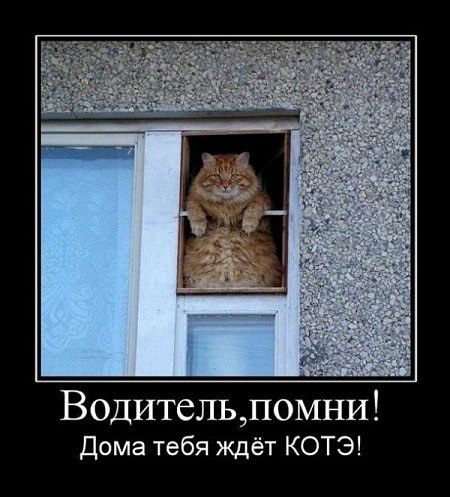 Немножко картинок с буквами, типа демотиваторы