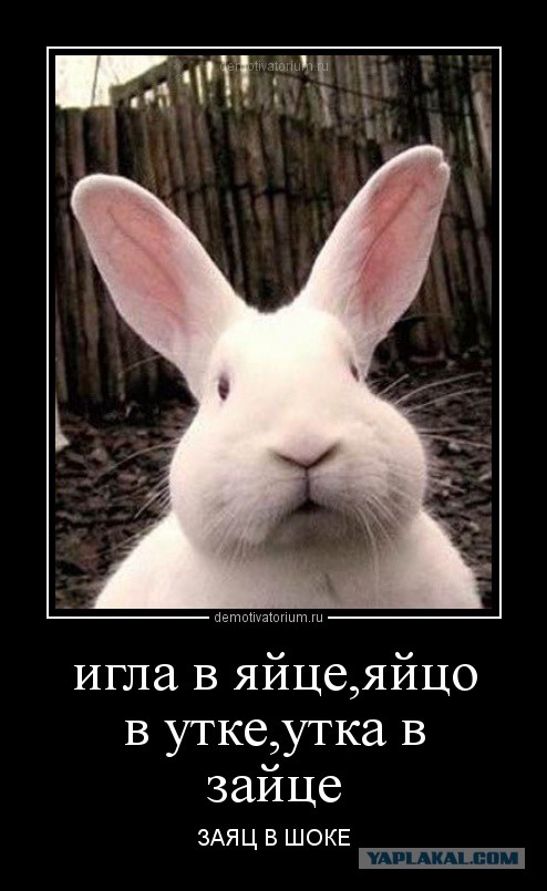 Даже не знаю как это назвать