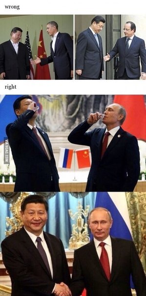 Подборка безудержного веселья
