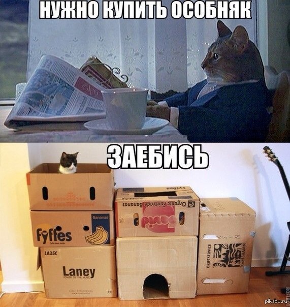 Картинок всяких
