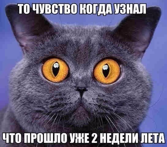 Подборка интересных и веселых картинок