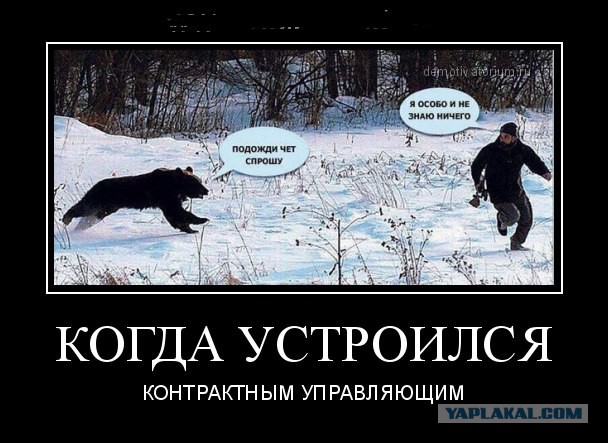 Госзакупки по 44-ФЗ