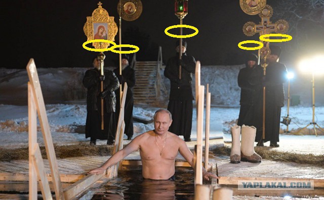 Кому интересно, стерхов нет..
