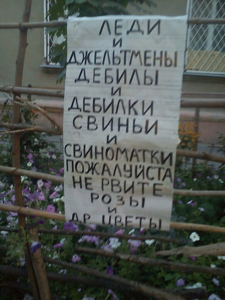 Народные перлы