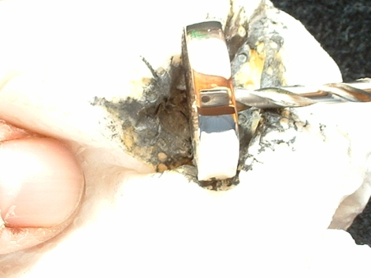 Как сделать кольцо из серебрянной монеты (13 фото)