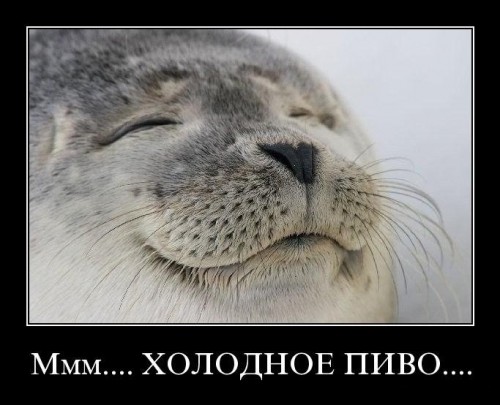 Итоги проверки пользователей