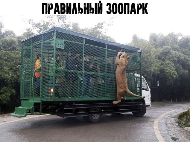 Нестандартный юмор