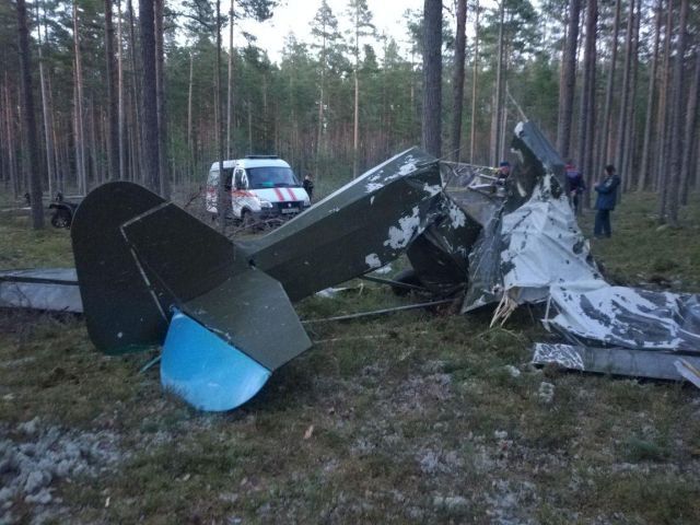 В Ленинградской области разбился самодельный самолет