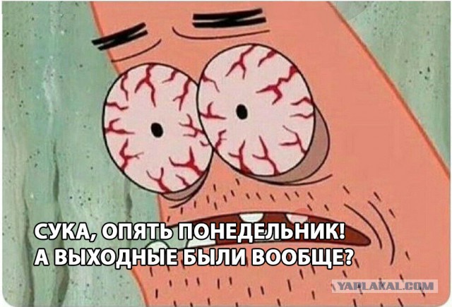 25 картинок в этот понедельник