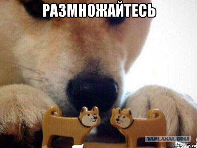 Поиска женщины пост. Есть обязательные хотелки!