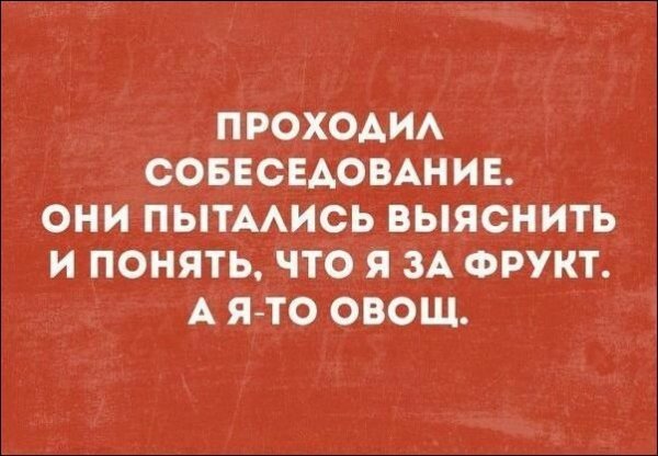 Анекдоты, соц-сети, истории и картинки с надписями