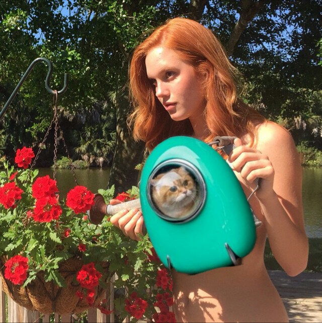 Фотожабы: Кот в рюкзаке с иллюминатором