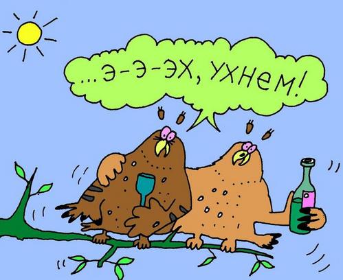 7  лет сайту ЯПлакалъ!