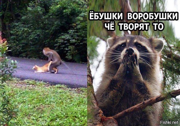 Алименты в случае, если женщина вышла замуж