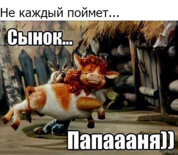 Немного картинок для настроения 26.01.20