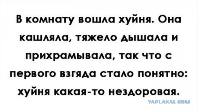 Картинки атавсюду. Часть 4 от 25 февраля 2020