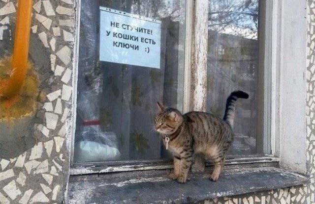 Бредзона 17.07.2020