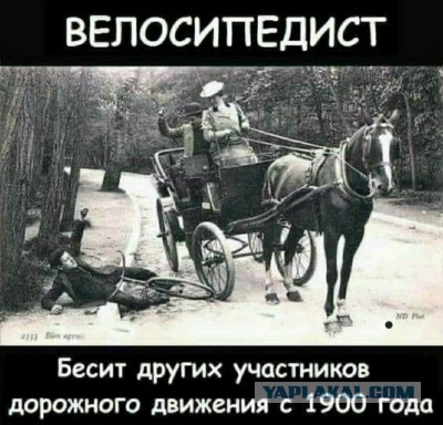 Очередной велохруст
