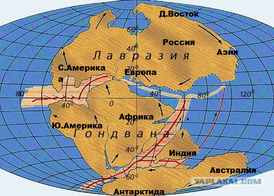 Тилакосмил: Первый среди саблезубых. Огромные клыки растут почти из мозга!